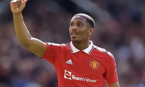 并通过引进 并通过引进